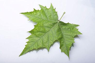 NEXON新游《幕后高手 VEILED EXPERTS》预下载3月29日开启